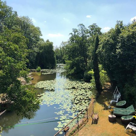 Magnifique Moulin Proche Chablis, Jacuzzi Et Riviere Villa Annay-sur-Serein Kültér fotó