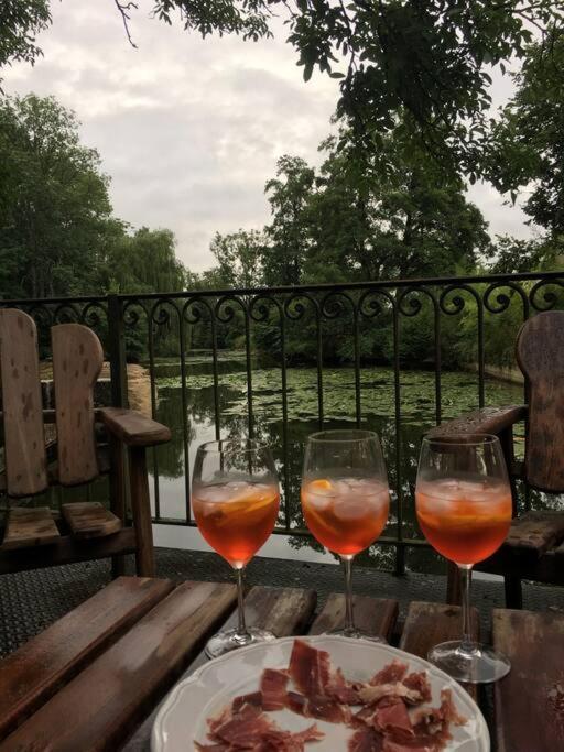 Magnifique Moulin Proche Chablis, Jacuzzi Et Riviere Villa Annay-sur-Serein Kültér fotó