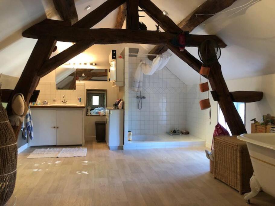 Magnifique Moulin Proche Chablis, Jacuzzi Et Riviere Villa Annay-sur-Serein Kültér fotó