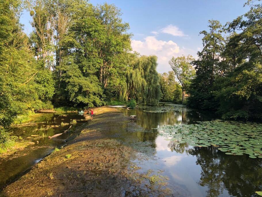 Magnifique Moulin Proche Chablis, Jacuzzi Et Riviere Villa Annay-sur-Serein Kültér fotó