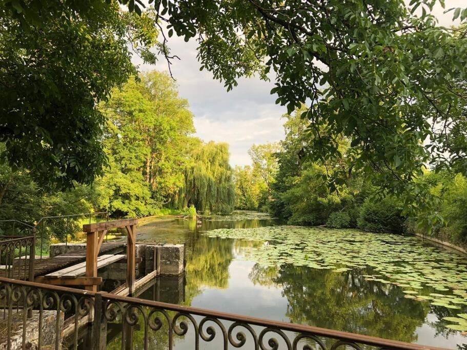 Magnifique Moulin Proche Chablis, Jacuzzi Et Riviere Villa Annay-sur-Serein Kültér fotó